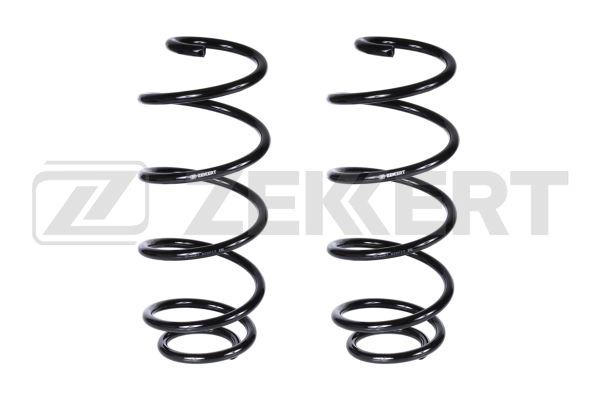 Suspension Spring (SF-2067)