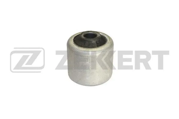 Mounting, control/trailing arm (GM-5138)
