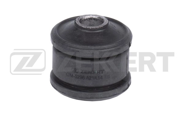 Mounting, control/trailing arm (GM-5296)