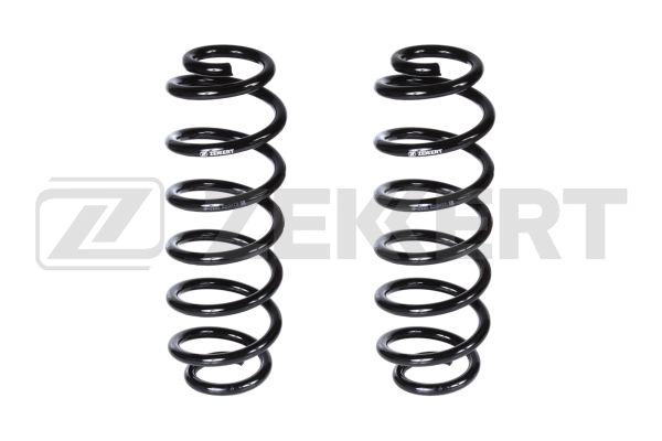 Suspension Spring (SF-2195)