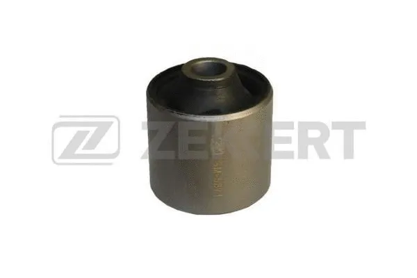 Mounting, control/trailing arm (GM-5871)