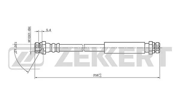 Brake Hose (BS-9401)