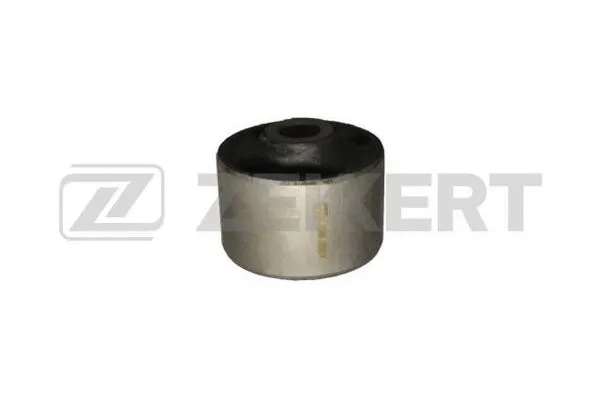 Mounting, control/trailing arm (GM-5991)