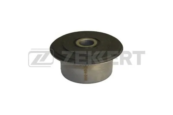 Mounting, control/trailing arm (GM-5450)