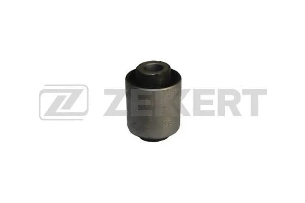 Mounting, control/trailing arm (GM-5288)