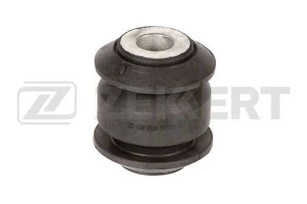 Mounting, control/trailing arm (GM-6521)