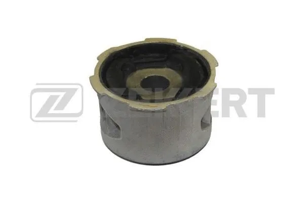 Bushing, axle beam (GM-6031)