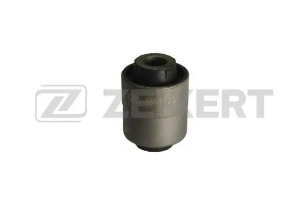 Mounting, control/trailing arm (GM-5620)
