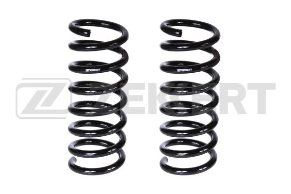 Suspension Spring (SF-2170)