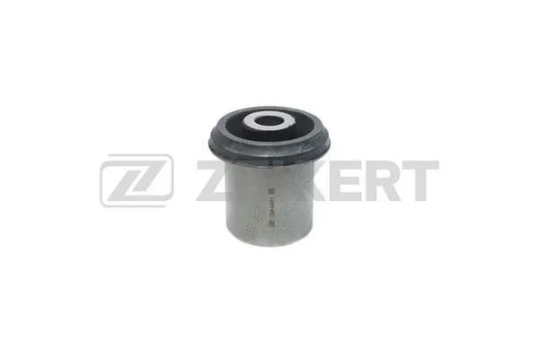 Mounting, control/trailing arm (GM-6461)
