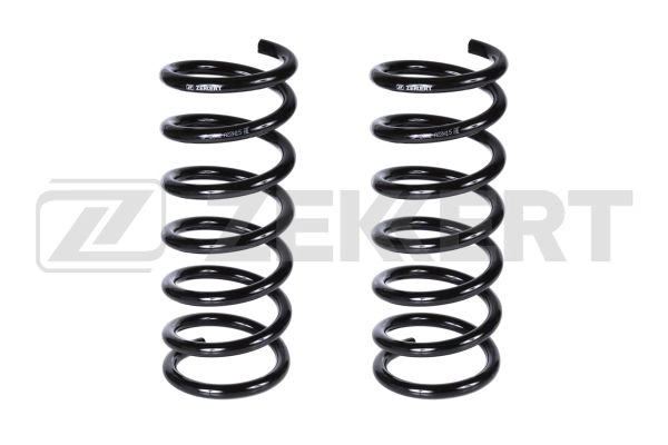 Suspension Spring (SF-2082)