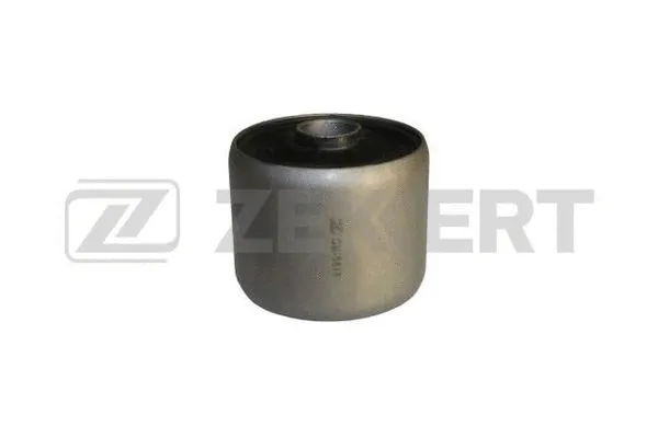 Mounting, control/trailing arm (GM-5818)