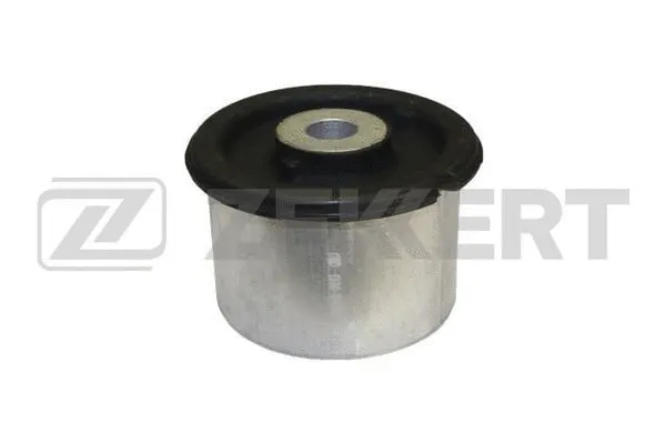Mounting, control/trailing arm (GM-5420)