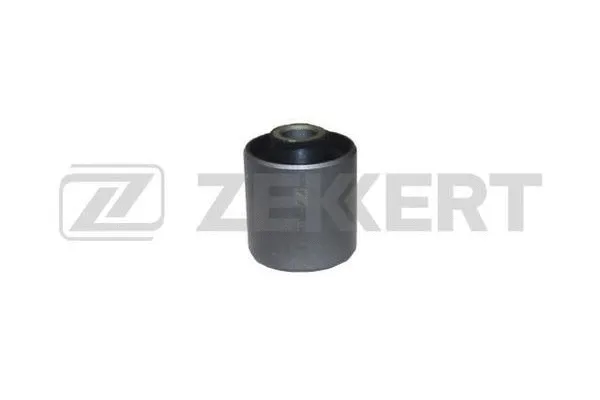 Mounting, control/trailing arm (GM-5304)