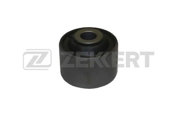 Mounting, control/trailing arm (GM-5966)