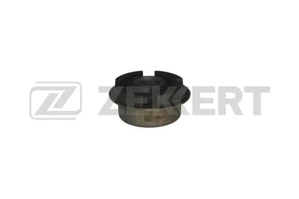 Mounting, control/trailing arm (GM-5877)