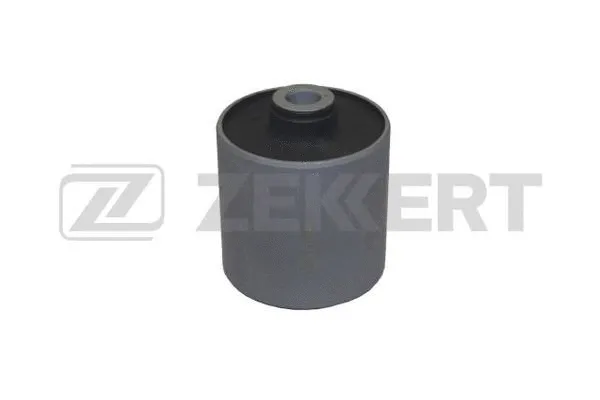 Mounting, control/trailing arm (GM-5364)