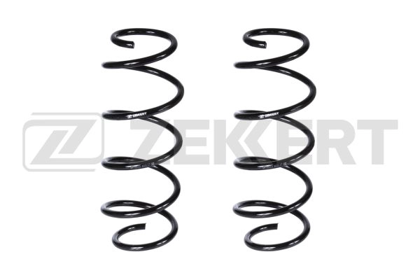 Suspension Spring (SF-2113)