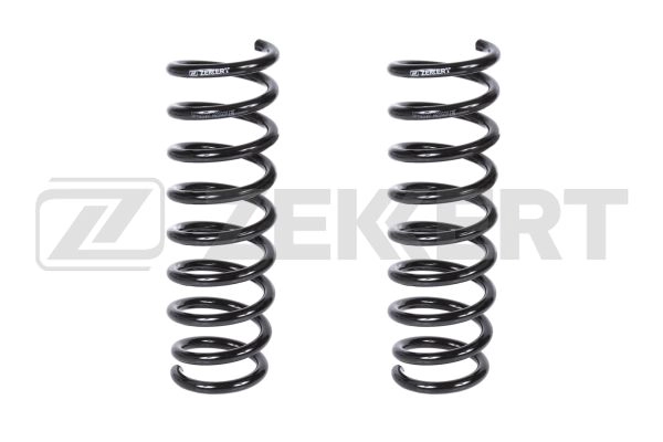 Suspension Spring (SF-2137)