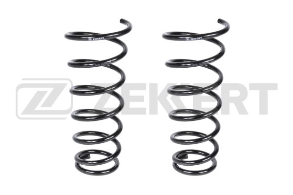 Suspension Spring (SF-2238)
