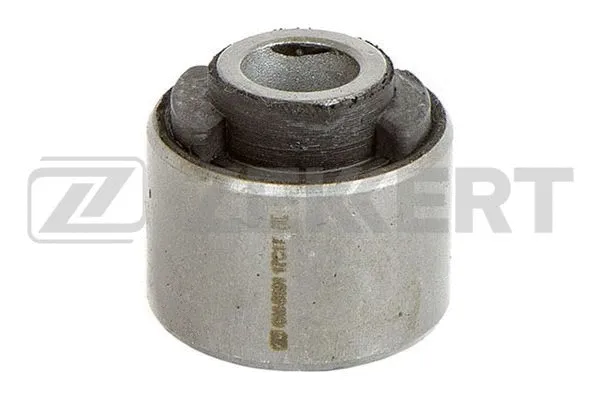 Mounting, control/trailing arm (GM-5691)
