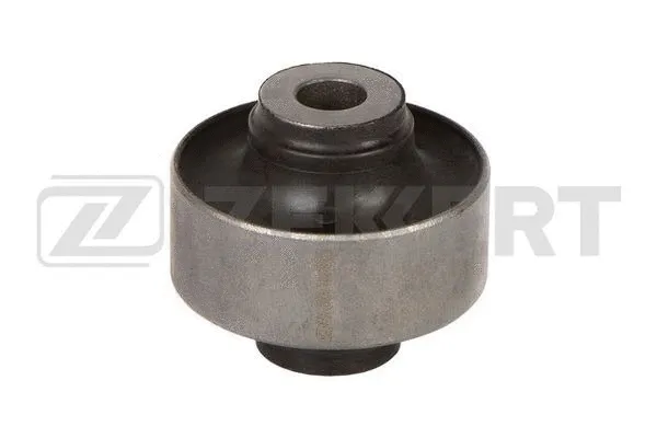 Mounting, control/trailing arm (GM-6324)