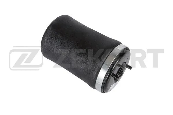 Air Spring, suspension (LD-1396)
