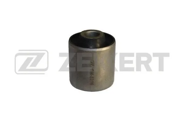 Mounting, control/trailing arm (GM-5216)