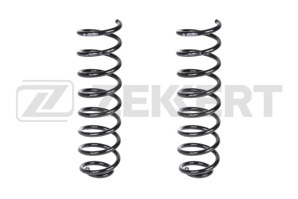 Suspension Spring (SF-2158)