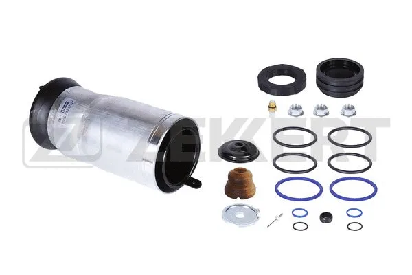 Air Spring, suspension (LD-1398)