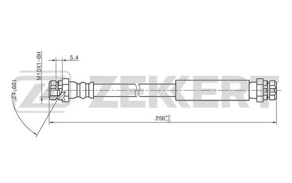 Brake Hose (BS-9009)