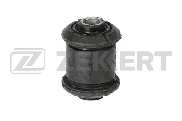 Mounting, control/trailing arm (GM-5389)