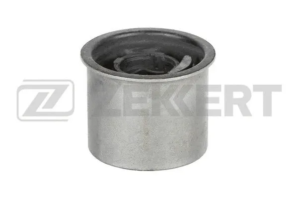 Mounting, control/trailing arm (GM-5520)