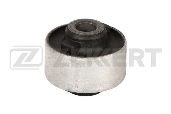 Mounting, control/trailing arm (GM-5246)
