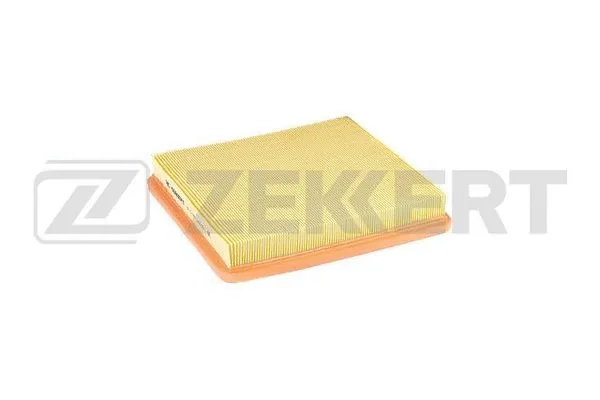 Air Filter (LF-2197)