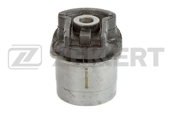 Bushing, axle beam (GM-5885)