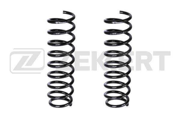 Suspension Spring (SF-2172)