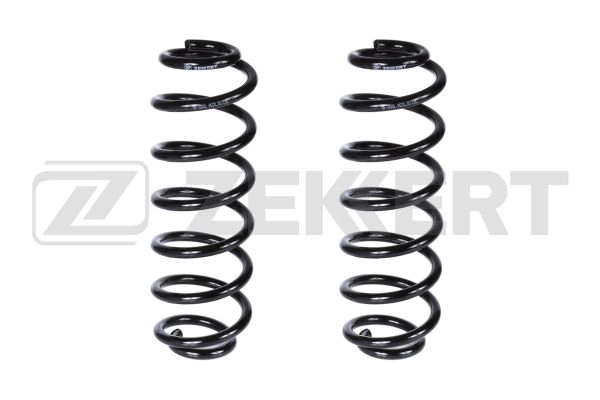 Suspension Spring (SF-2031)