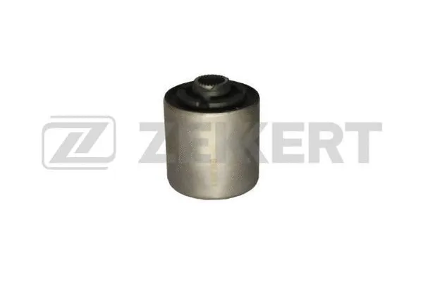Mounting, control/trailing arm (GM-5333)