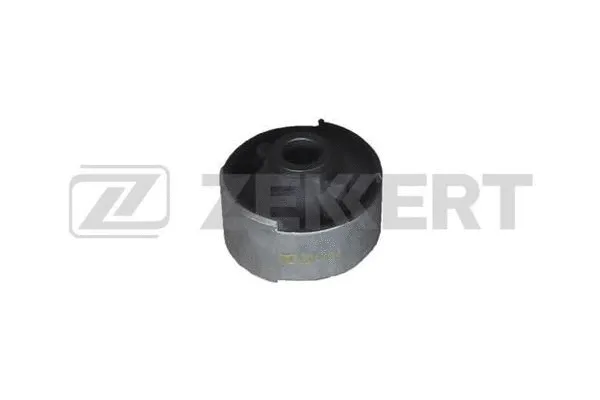 Mounting, control/trailing arm (GM-5983)