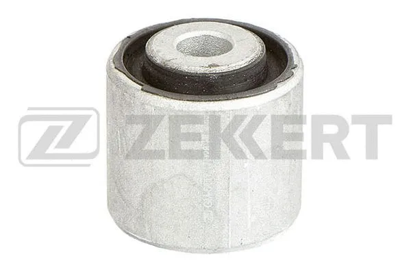 Mounting, control/trailing arm (GM-5417)