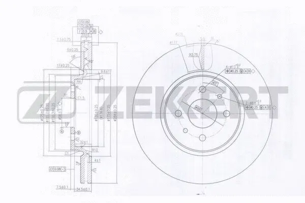 Brake Disc (BS-6029)