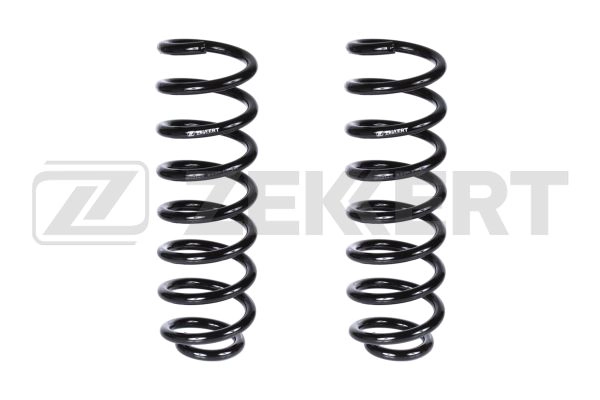 Suspension Spring (SF-2123)