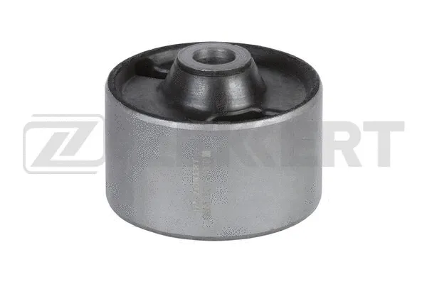 Mounting, control/trailing arm (GM-5137)