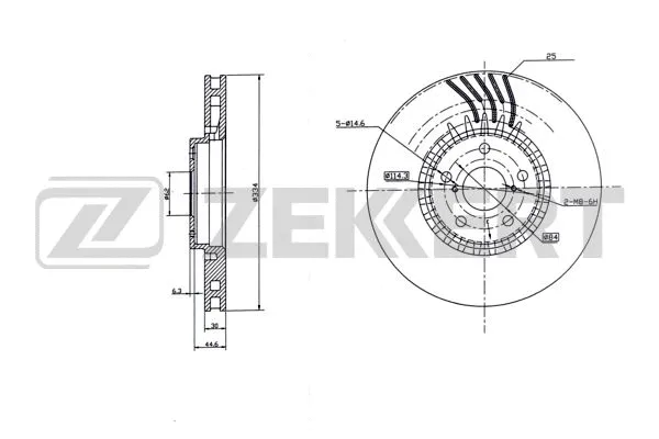 Brake Disc (BS-6273)