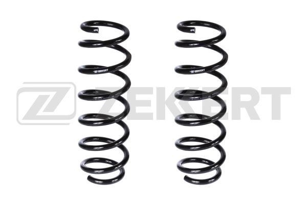 Suspension Spring (SF-2145)