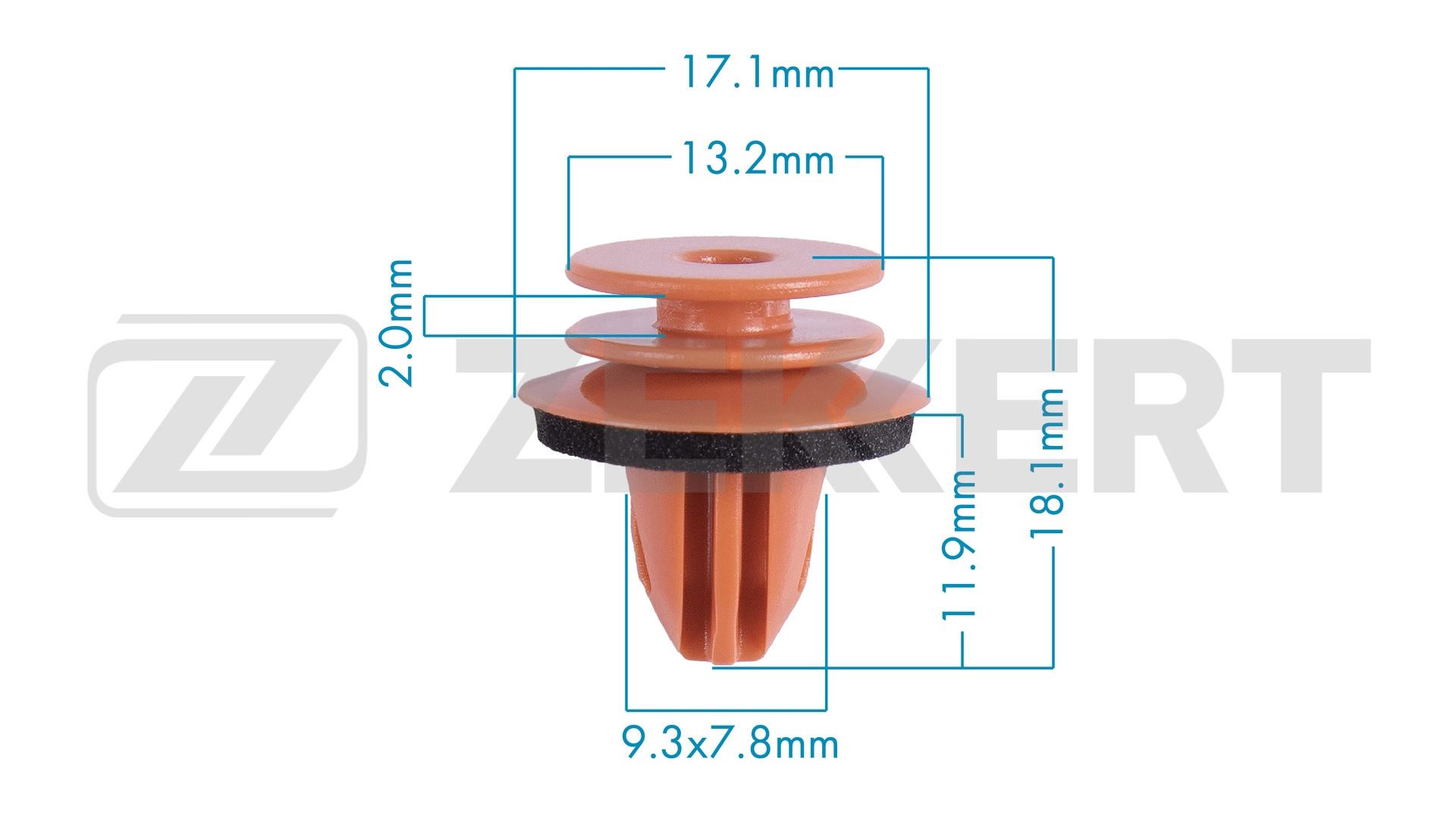 Clip, trim/protection strip (BE-3828)