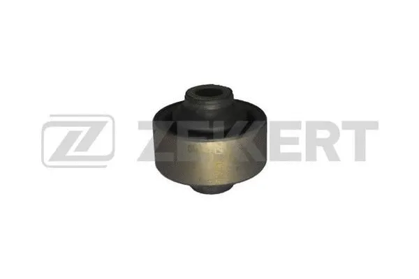 Mounting, control/trailing arm (GM-5253)