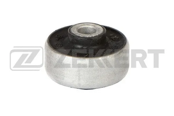 Mounting, control/trailing arm (GM-6649)