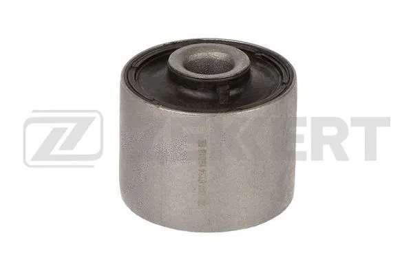 Mounting, control/trailing arm (GM-6334)